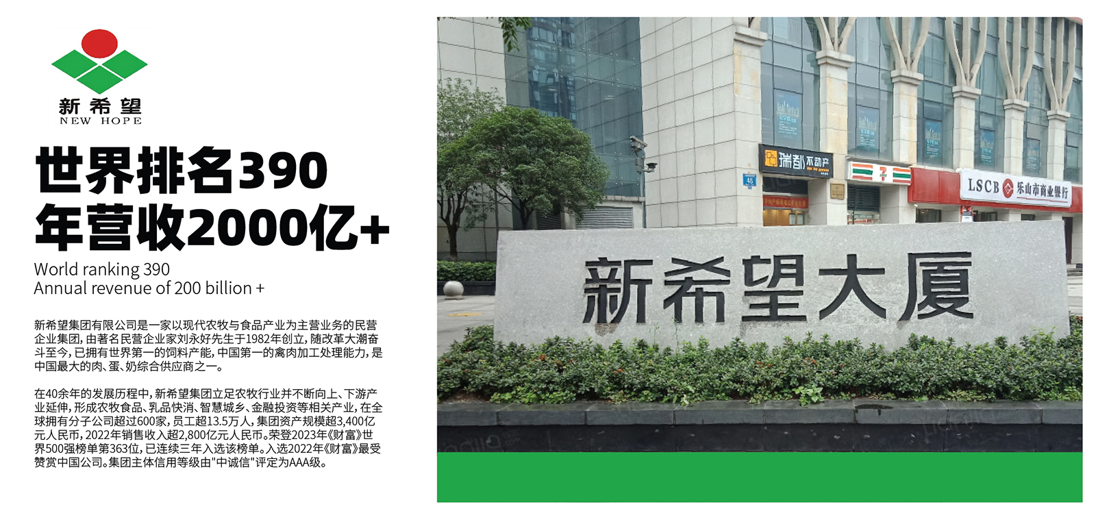 新希望 新希望
