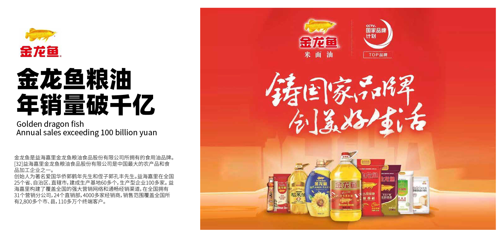 金龙鱼 金龙鱼